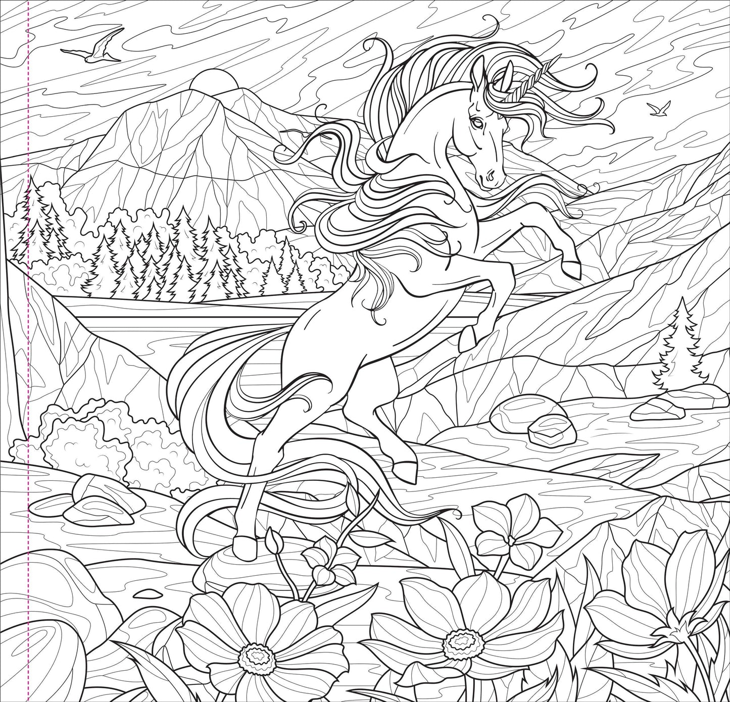 Enchanted Kingdom Adult Coloring Book