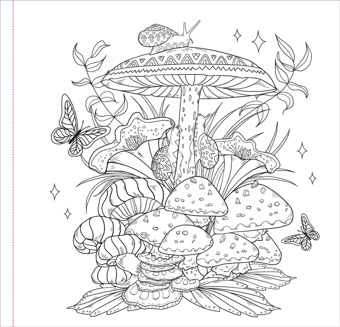 Enchanted Kingdom Adult Coloring Book