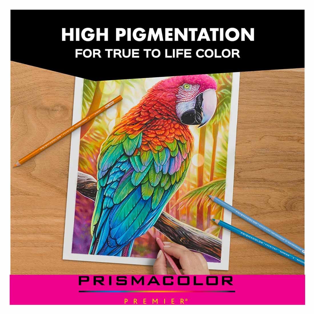 PRISMACOLOR PREMIERE 150 COLORED PENCIL SET